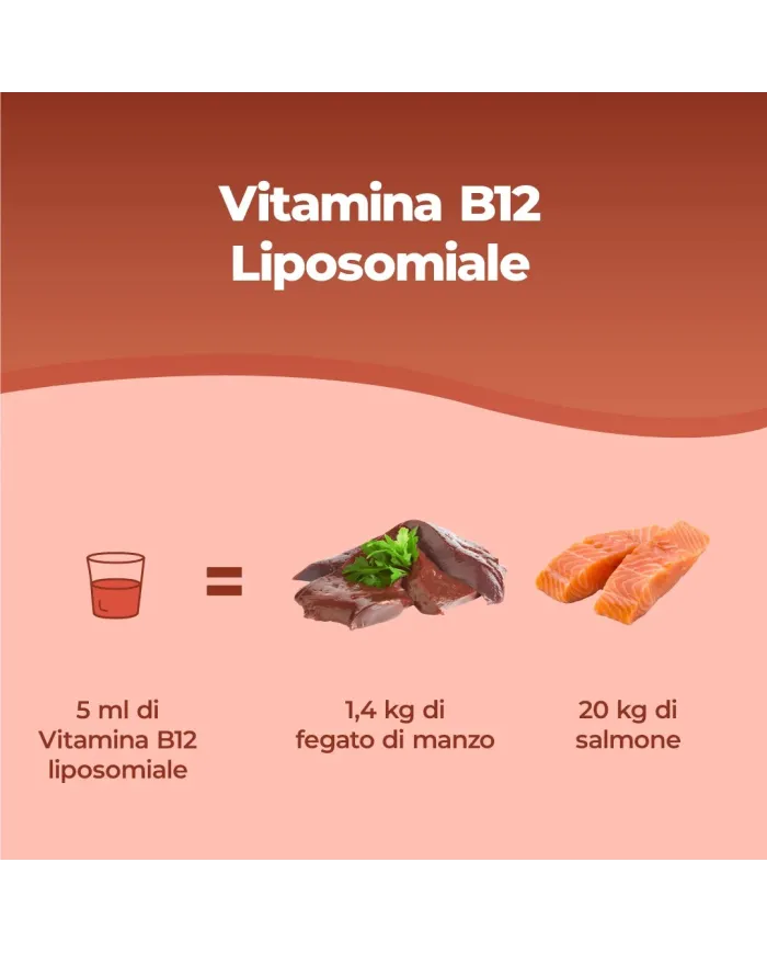 Vitamina B12 Liposomiale - Liquida 250 ml